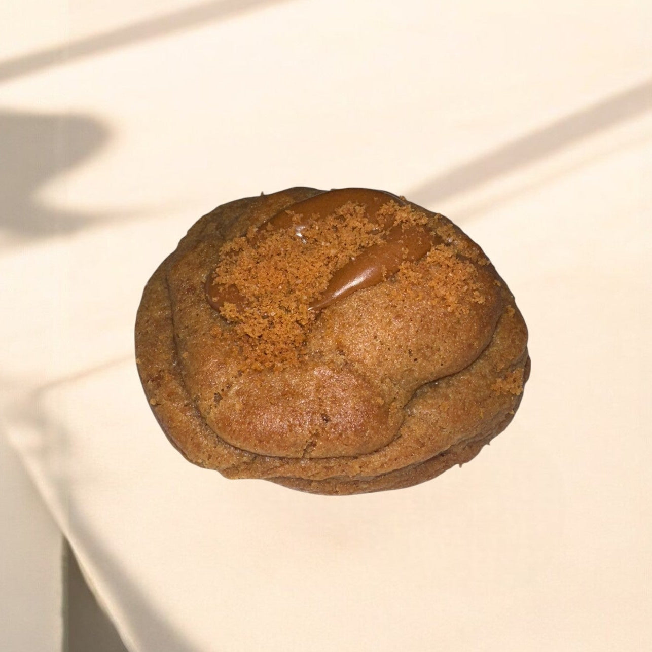 Le délice au spéculoos